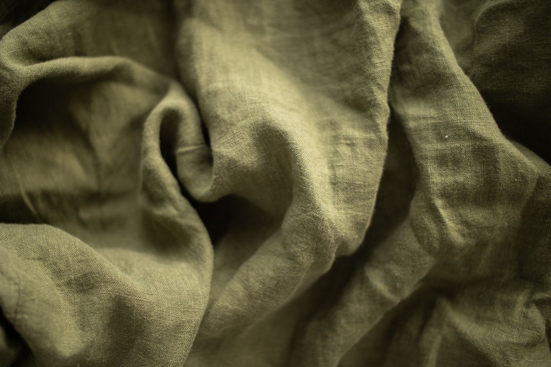 Detail vlákna – Len